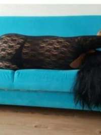 Etkileyici kaprissiz bayan özgen