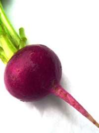 Terme'nin Güzel ve Tükenmez Ateşi: Terme Bayan Arkadaş